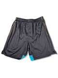 Puma Shorts Arsenal Soccer Merch Blau Schwarz XL