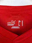 Puma Trikot + Shorts Set Österreich Rot Weiß M