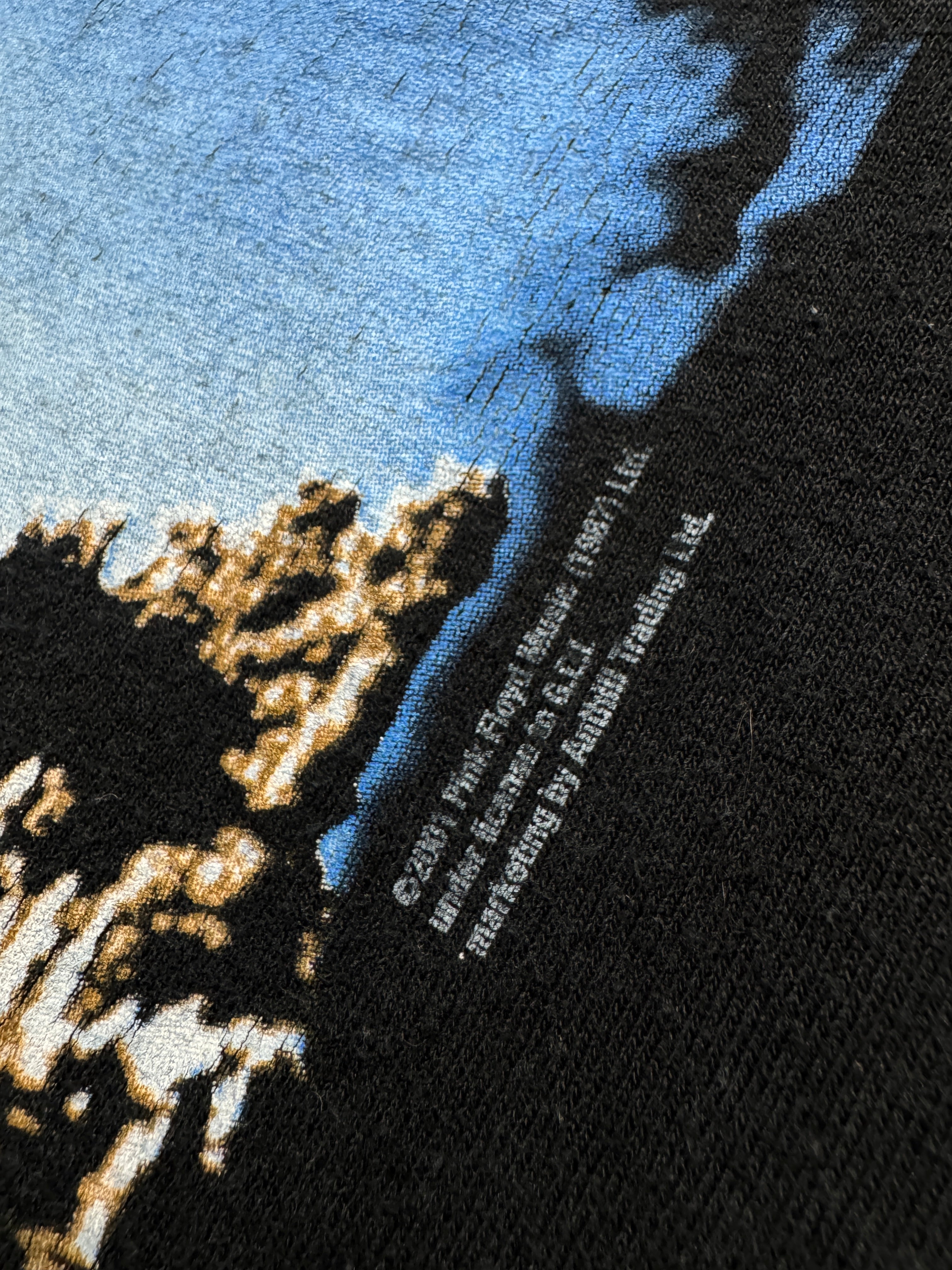 2001 Anvil Shirt Pink Floyd "Wish You Were Here" Schwarz M