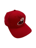 Vintage EA Sports Cap 2000 Formel 1 Rot