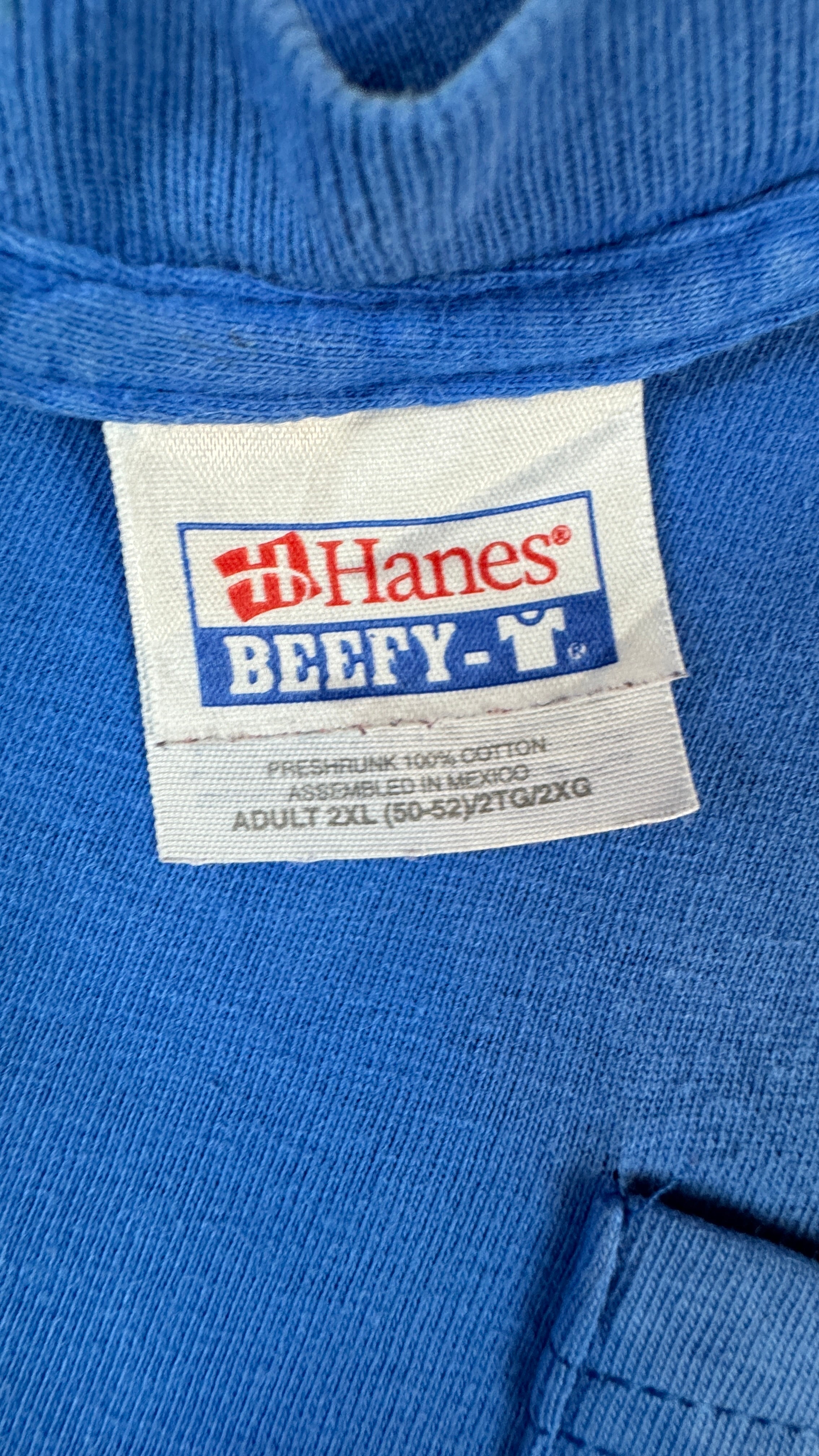 Vintage Hanes Shirt 90s Arizona Bluegrass Association "grows in the desert" Single Stitch Blau 2XL