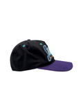 90s NHL Cap Solar Bears Snapback Schwarz
