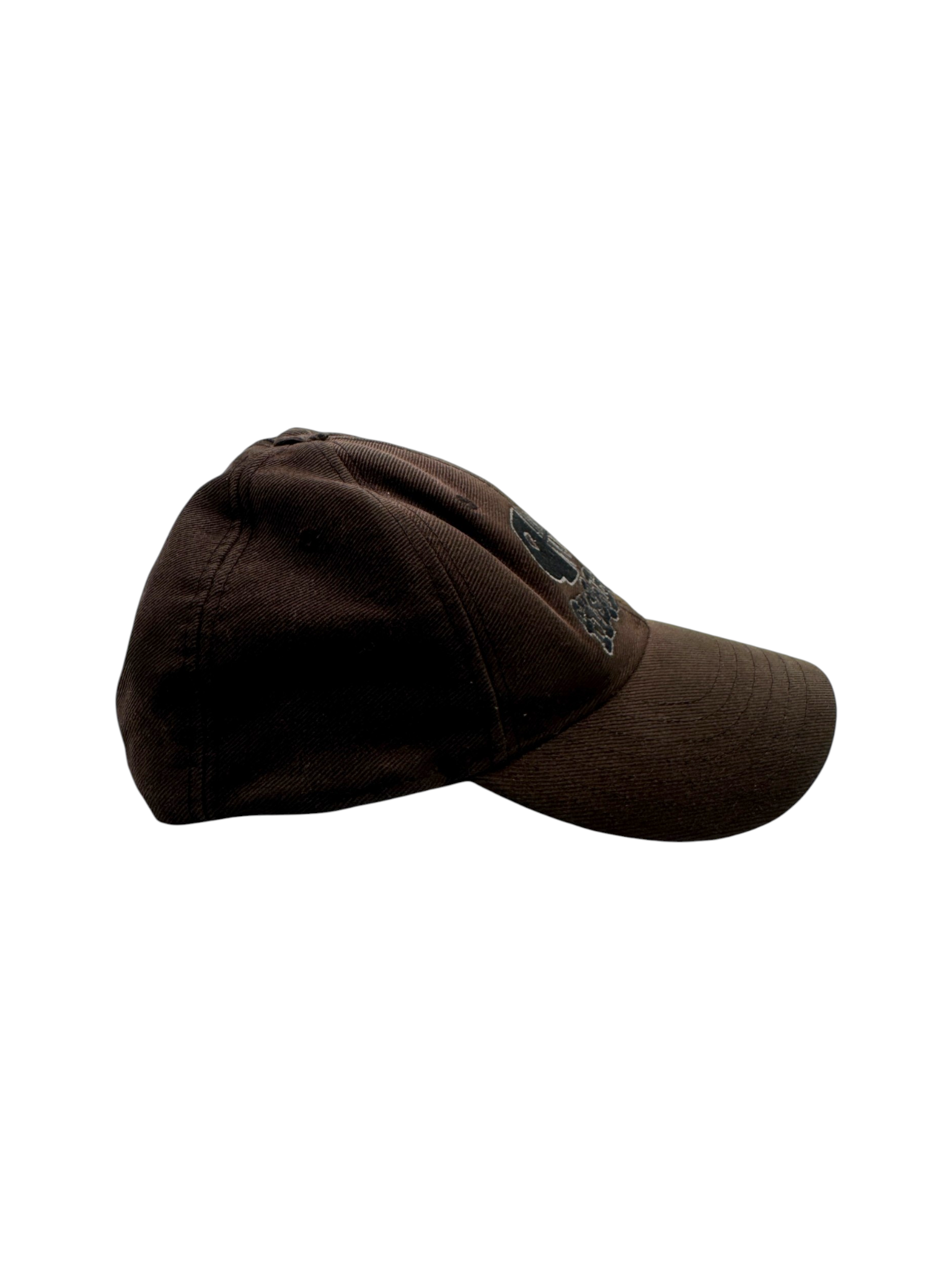 90s Fishbone Cap Snapback Braun