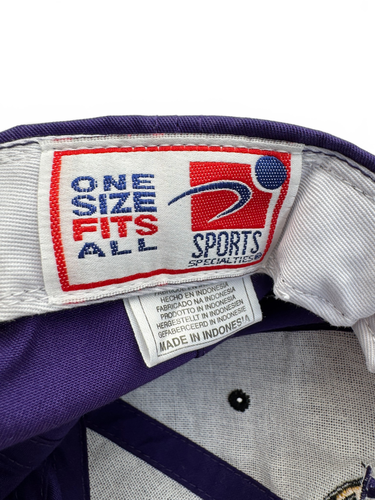 90s Sport Specialties NBA Cap LA Lakers Snapback Lila
