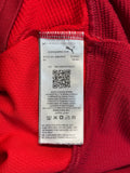 2022 Puma Langarm Trikot Altona 93 Rot S