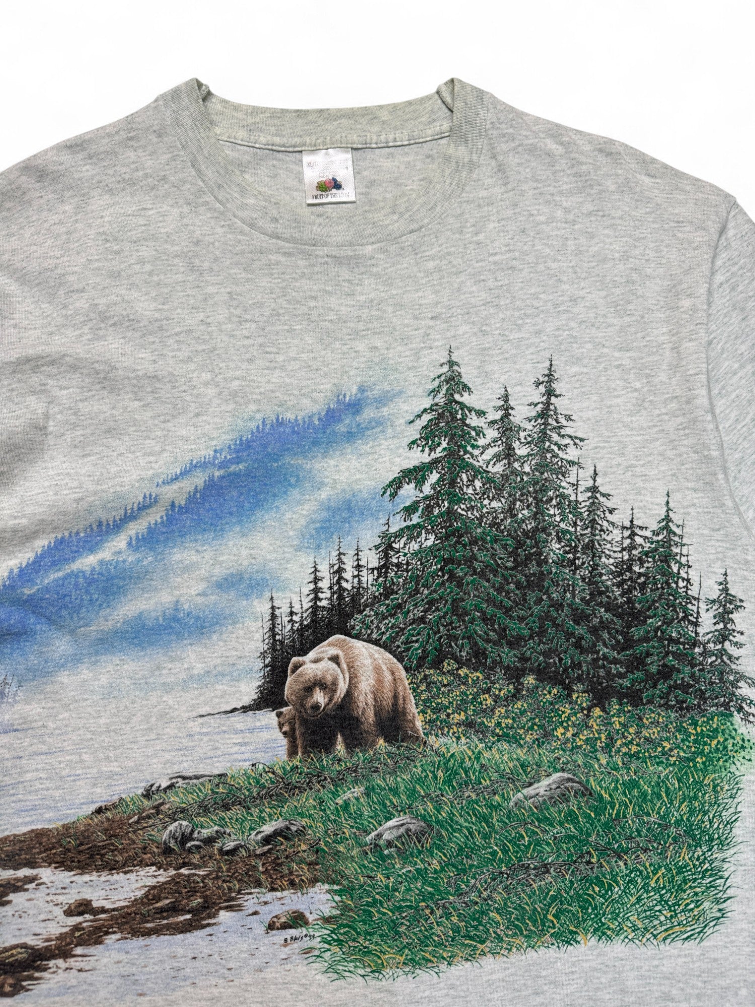 Vintage Fruit Of The Loom Shirt 90s Nature Print Kimberley Made In Canada Single Stitch Grau XL